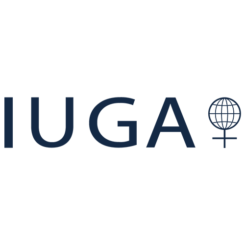International Urogynecological Association